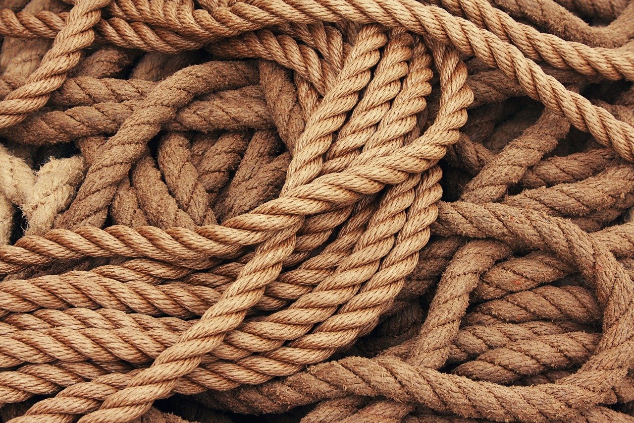 Livre sur le shibari