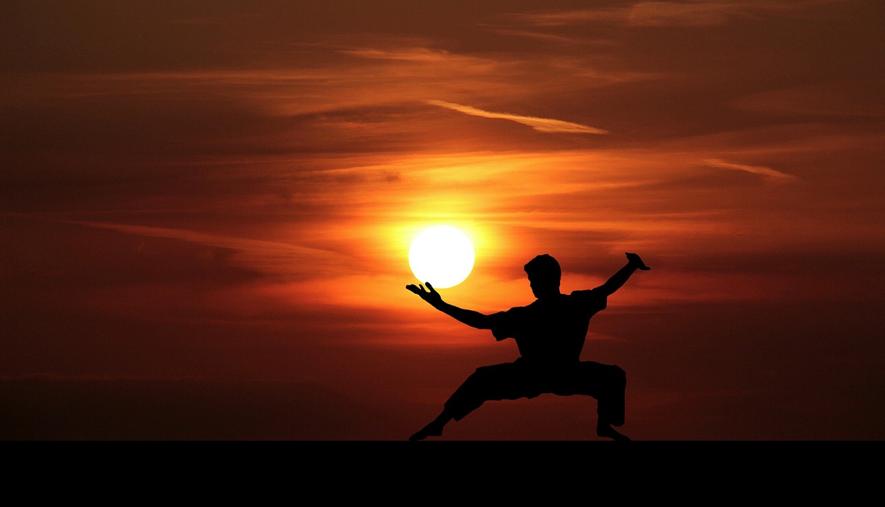 Livre sur le kung-fu