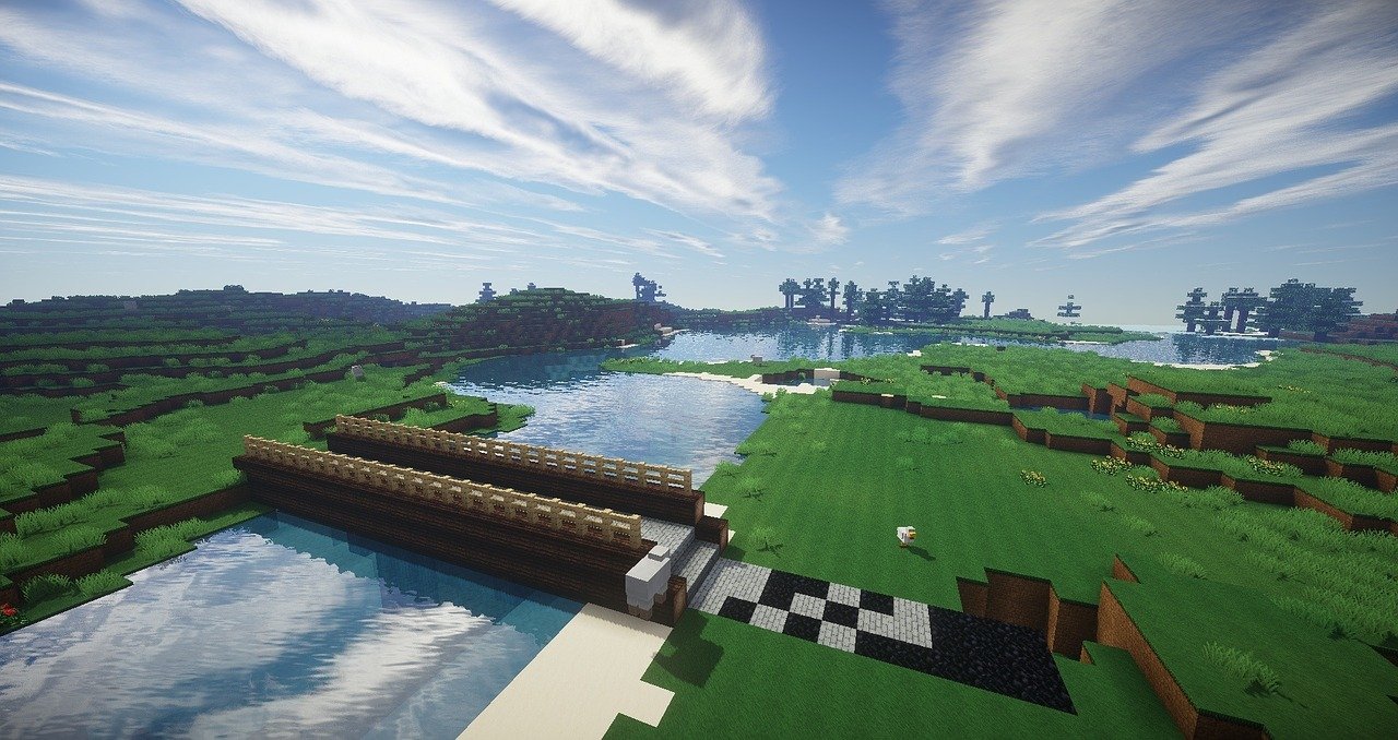 Livre sur Minecraft