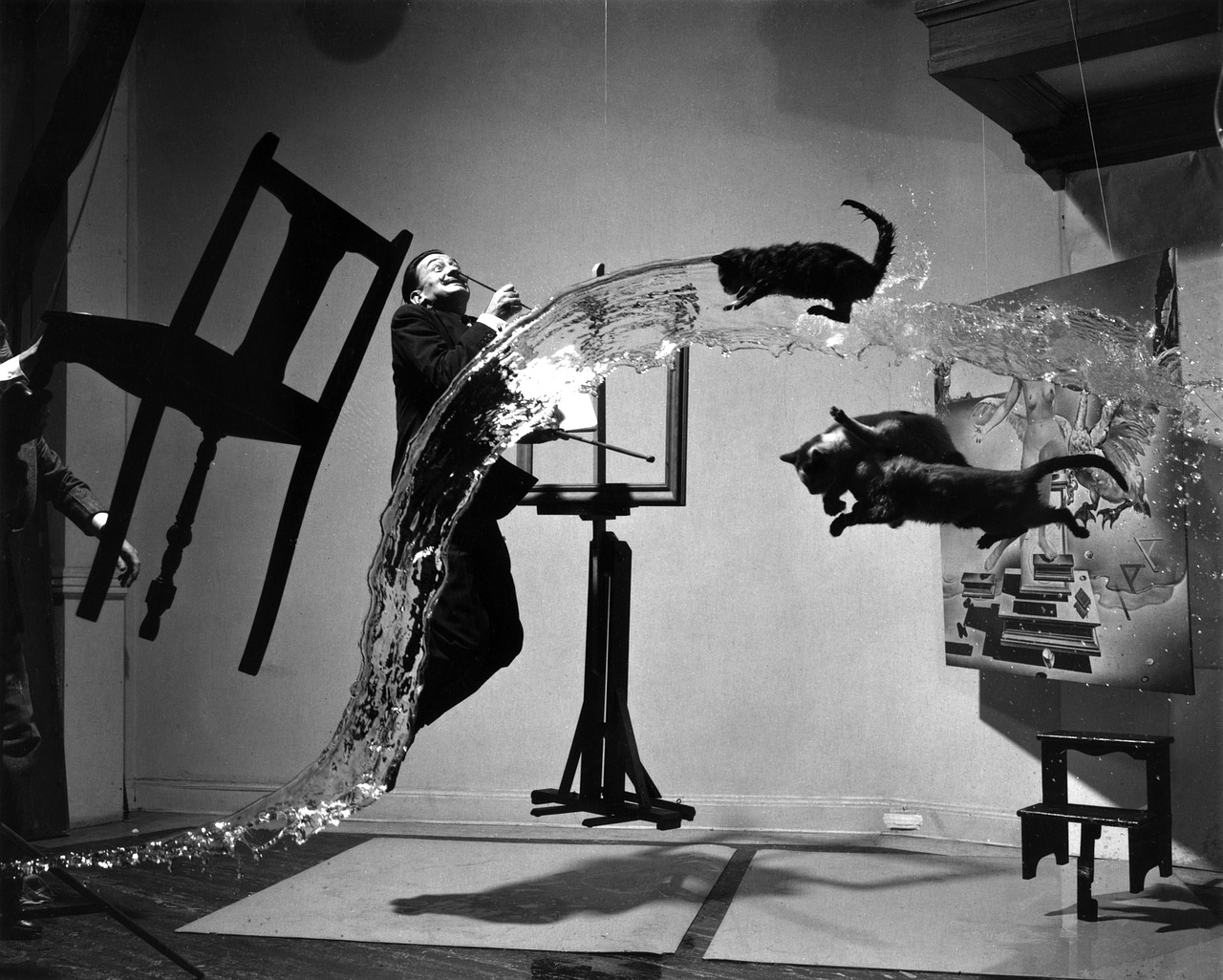 Livre de Salvador Dali
