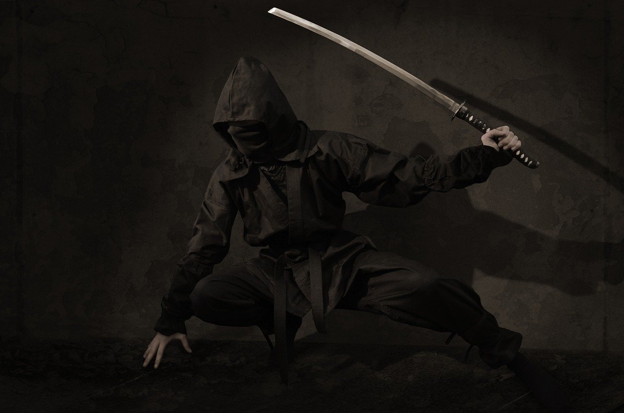 Livre sur le nunjutsu