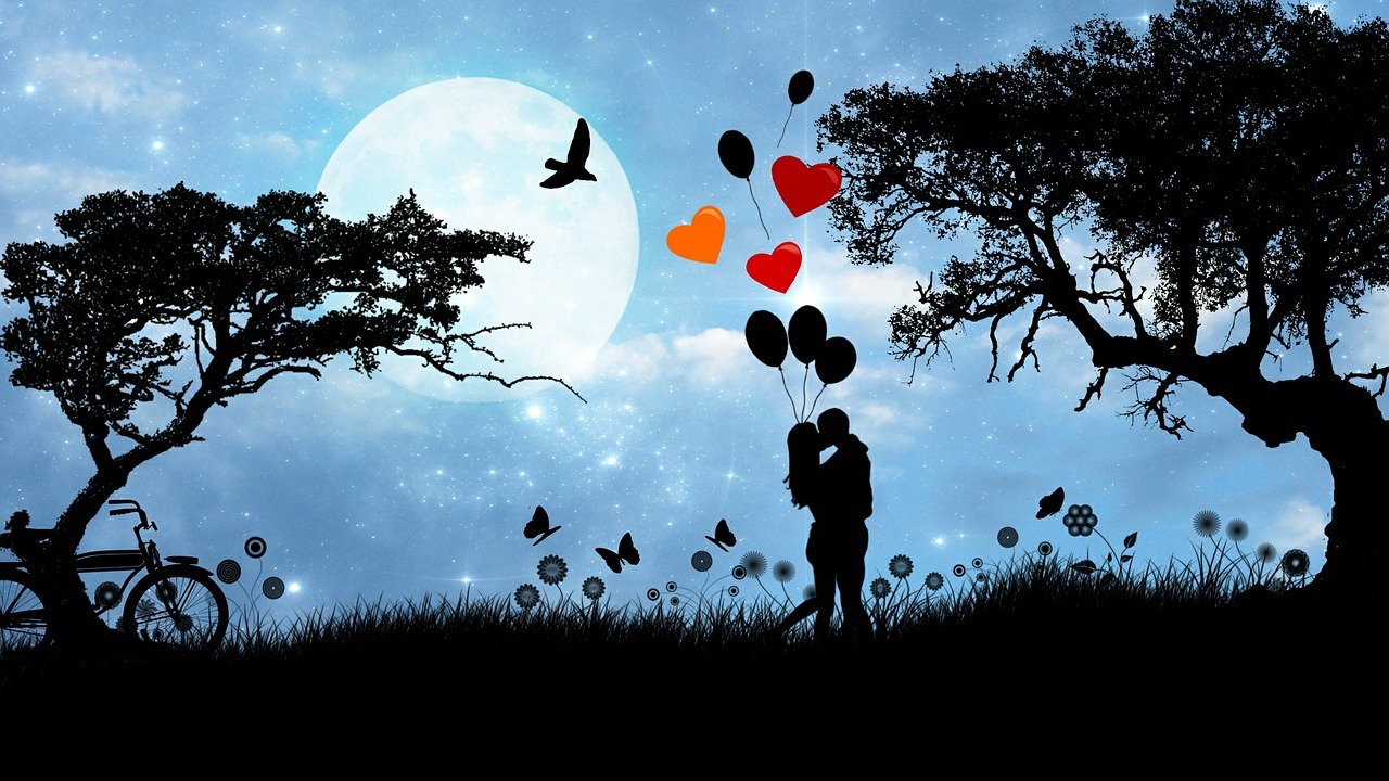 Livre de romance